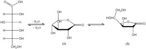 Ácido Glucónico Propiedades Reacción Producción Y Usos