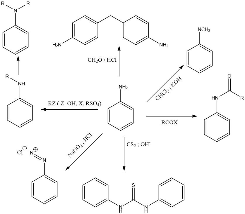 Reactions of the amino group of aniline