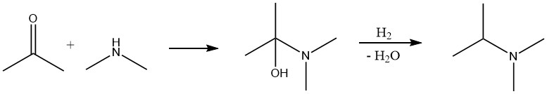 Production of amines from Carbonyl Compounds