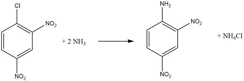 reaction of 2,4-dinitrochlorobenzene with ammonia