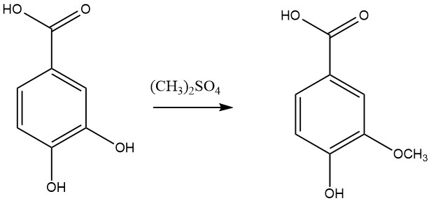 Eterification of 3,4-dihydroxybenzoic acid to vanillic acid.