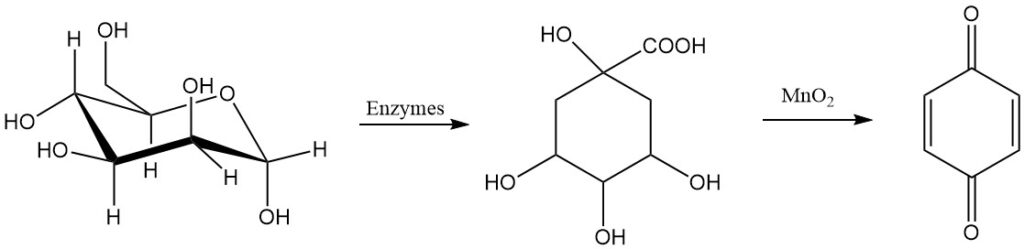 Production of 1,4-benzoquinone from glucose