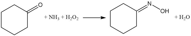 Cyclohexanone ammoximation with ammonia and hydrogen peroxide