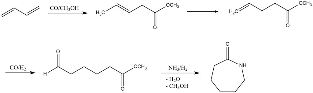 Production of ε-Caprolactam by Carboalkoxylation of butadiene