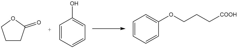 Reaction of butyrolactone with phenol to produce phenoxybutyric acid