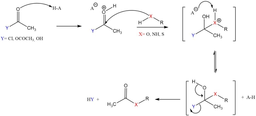 Acetylation Reaction Mechanism