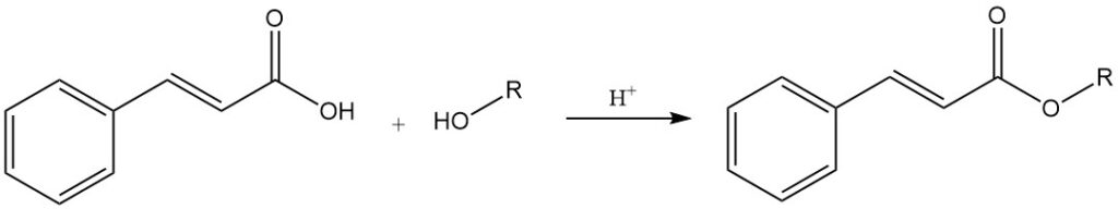 Production of cinnamate esters