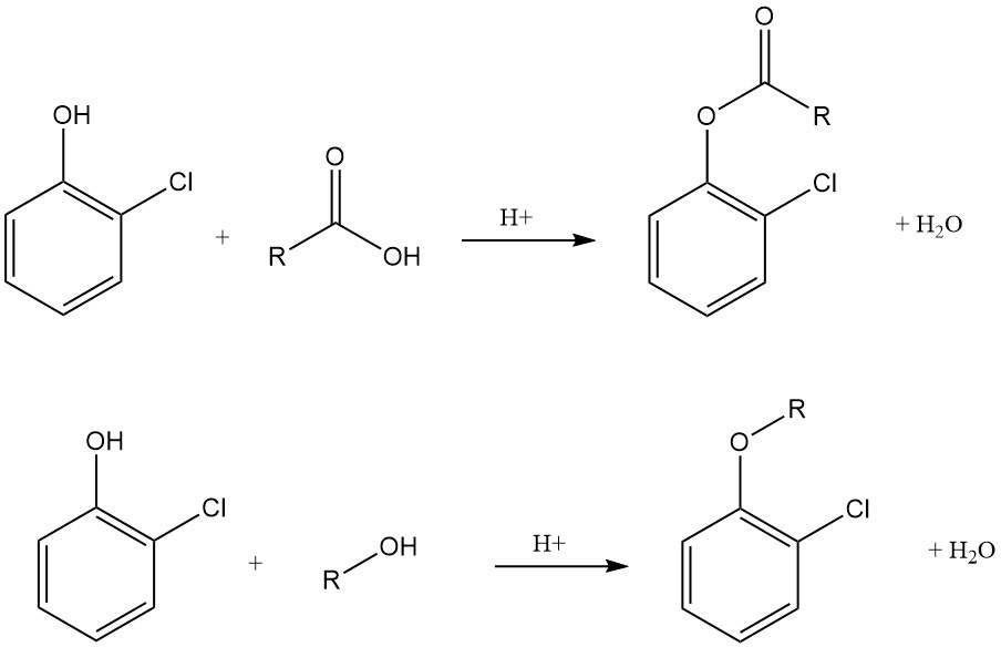 esterification and etherification of 2-chlorophenol