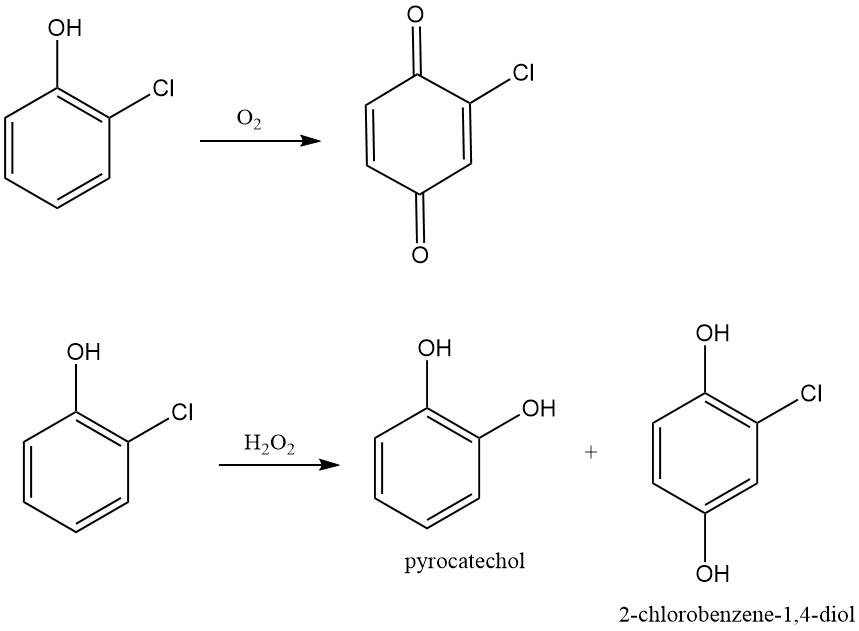 oxidation of 2-chlorophenol