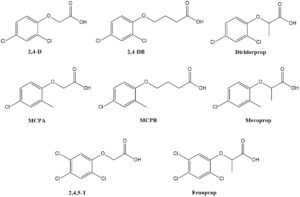 Phenoxy Herbicides structures (2,4-D; 2,4-DB; Dichlorprop; MCPA; MCPB, Mecoprop; 2,4,5-T and Fenoprop)