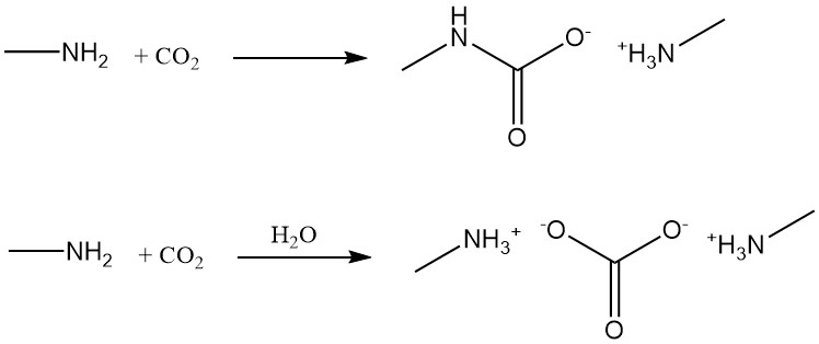 Reaction of methylamine with carbon dioxide