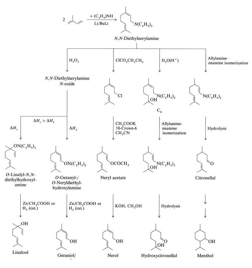 Synthesis of terpenes from isoprene via nerylamine