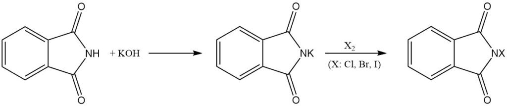 Reaction of Phthalimide with halogens