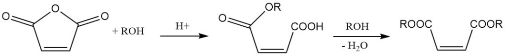 Esterification of Maleic Anhydride