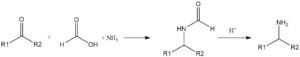 Formic Acid: Properties, Reactions, Production And Uses