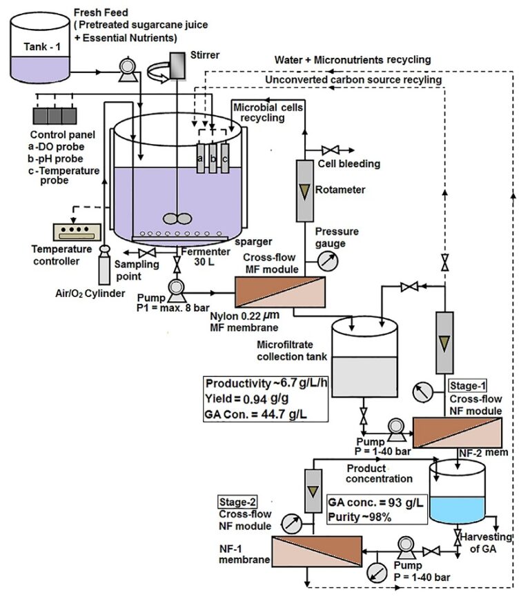 Gluconic Acid: Properties, Reaction, Production And Uses