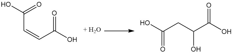 Reaction of addition of water to maleic acid