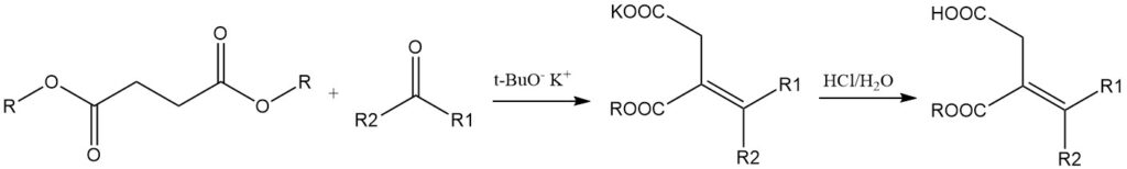 Stobbe condensation of succinic esters