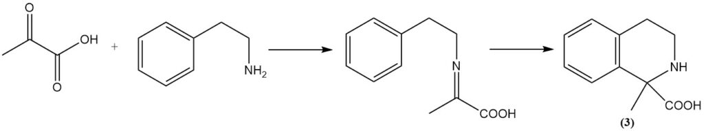 The Bischler-Napieralski reaction of phenylethylamine with pyruvic acid