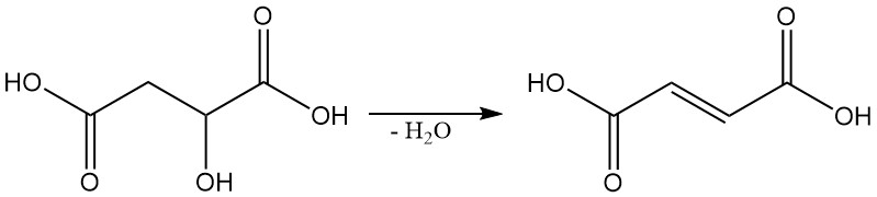 dehydration of malic acid to fumaric acid.