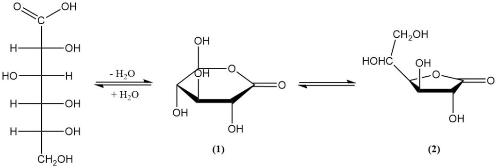 lactone forms of gluconic acid