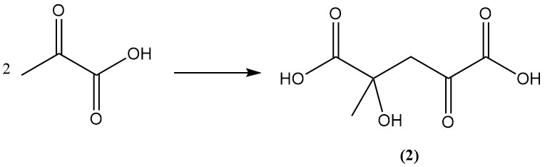 polymerization of aqueous pyruvic acid via ketoglutaric acid intermediate