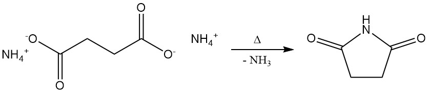 production of succinimide from ammonium succinate