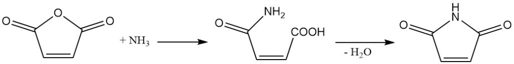 reaction of Maleic Anhydride with ammonia