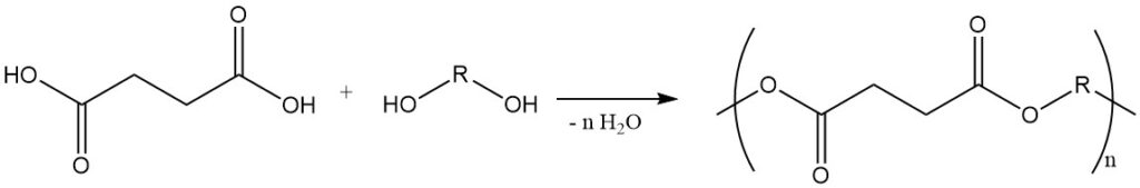 reaction of Succinic acid with dialcohols to produce polyesters