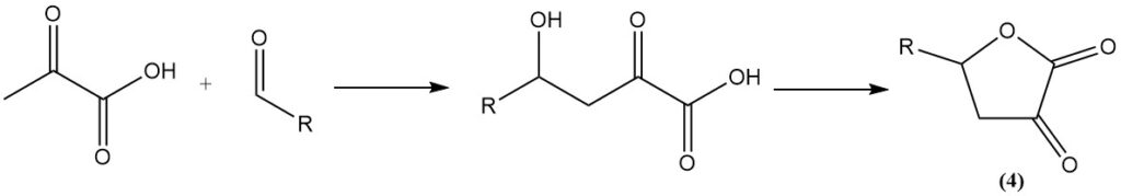 reaction of aldehydes with pyruvic acid