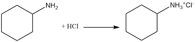 Cyclohexylamine salt formation with hydrochloric acid