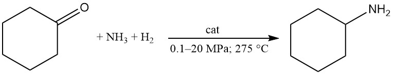 Production of Cyclohexylamine from cyclohexanone