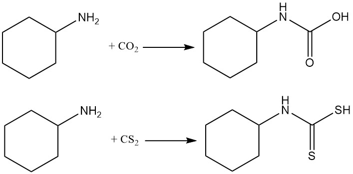 Reaction of Cyclohexylamine with carbon dioxide and carbon disulfide