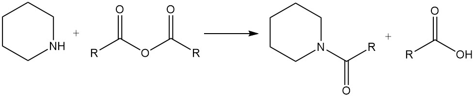 Reaction of Piperidine with acid anhydrides