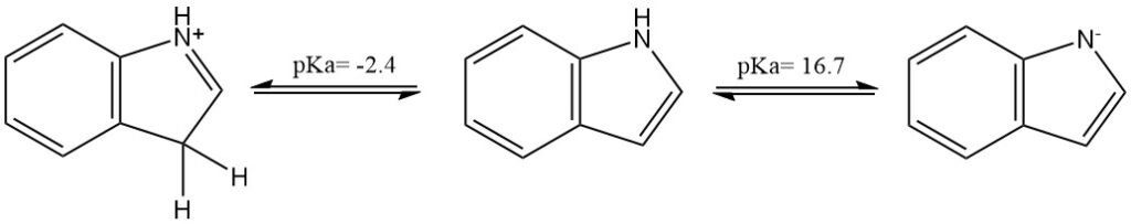 conjugate acid and base of indole