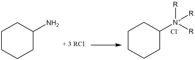 formation of cyclohexyylamine quaternary ammonium