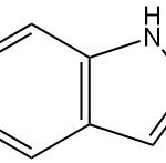 indole structure