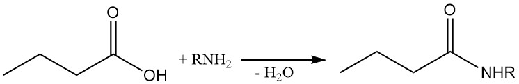 production of butyric amides