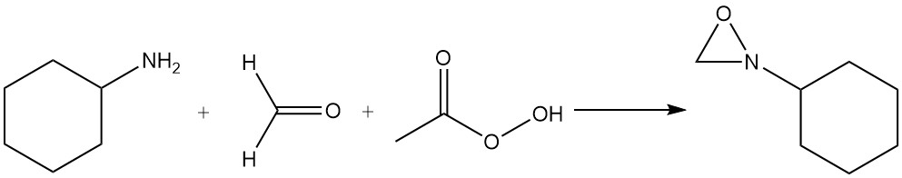 reaction of cyclohexylamine, formaldehyde, and peracetic acid