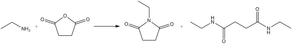 reaction of ethylamine with succinic anhydride