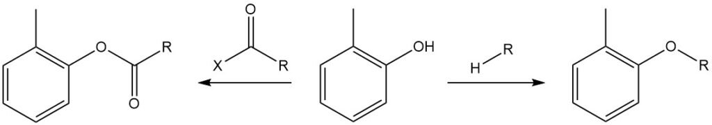 eterification and esterification of o-cresol